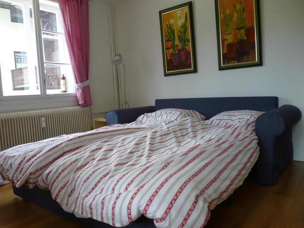 De Jutter Edelweiss Apartment